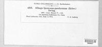 Image Associated With the Occurence